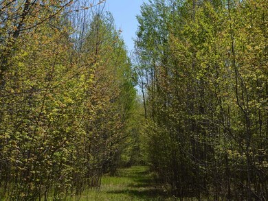 AT Hwy 86, Tomahawk, WI 54487 - photo 4