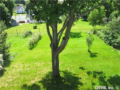 Yard/Garden