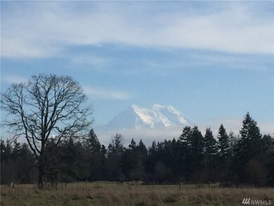 12808 Vail Rd SE, Yelm, WA 98597 - photo 3