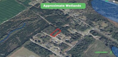 7. Wetlands