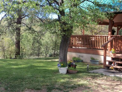spring at Haigler Creek