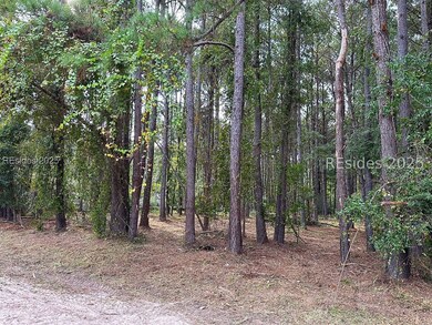 464 Paige Point Bluff, Seabrook, SC 29940 - photo 7