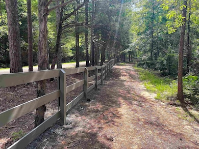 View of road with a view of trees