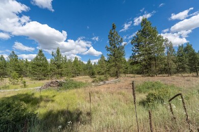 35450 Prairie Ln N unit Lot 2, Creston, WA 99117 - photo 4