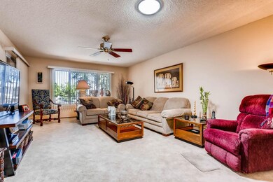CONCHO LIVING 2