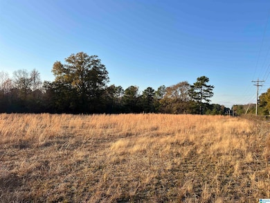 11 Acres Risers Mill Rd, Alpine, AL 35014 - photo 2