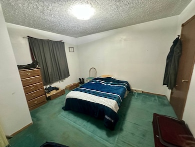 811 W 10th St, Schuyler, NE 68661 - photo 4