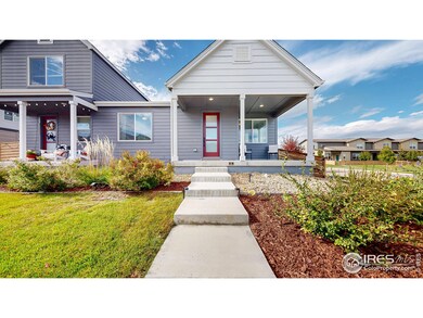 4901 Brule Dr, Timnath, CO 80547 - photo 5