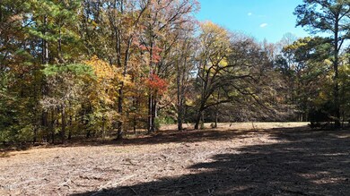 DJI_20251031135207_0158_D