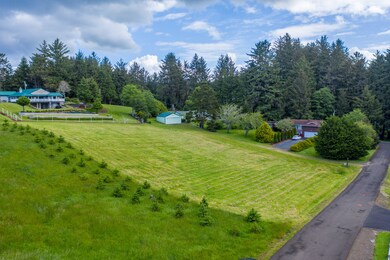 drone shot of lot