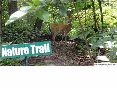 2911 Green Mountain Rd SE, Huntsville, AL 35803 - photo 2