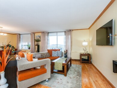 Imperial Towers unit 812, Chestnut Hill, MA 02467 - photo 2