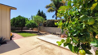 Back yard patio