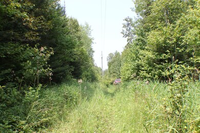 Power line easement