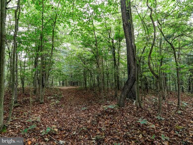 0 Somers Ln, Berkeley Springs, WV 25411 - photo 4