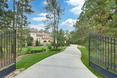 28302 Meadow Forest, Magnolia, TX 77355 - photo 2