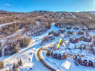 352 Crawford Ridge Rd unit 22, Carroll, NH 03575 - photo 3