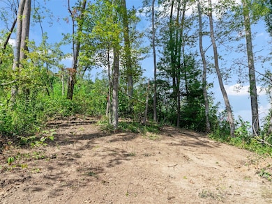 99999 Youngs Gap Rd unit South Lot, Hoopers Creek, NC 28732 - photo 6