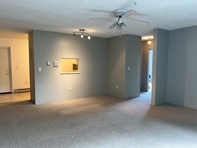 Milliken Hills Condominiums unit 22, Franklin, MA 02038 - photo 5