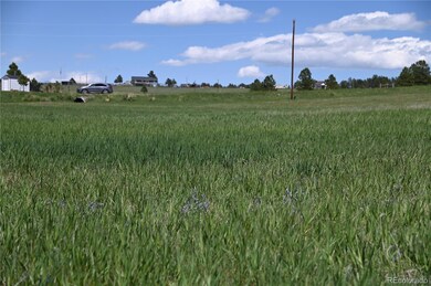 30523 Mountain View Trail unit 6, Kiowa, CO 80117 - photo 6