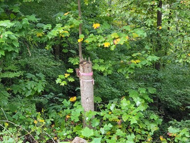 150 Punch's End, Burnside, KY 42519 - photo 5