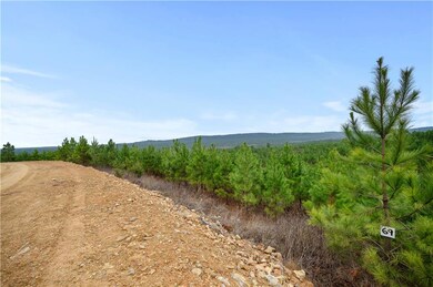 0 Lot 69 unit 989491, Broken Bow, OK 74728 - photo 6