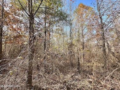 2 County Road 3122, McCool, MS 39108 - photo 7