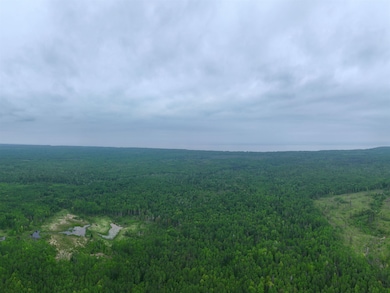 80 Acres Near Tar Paper Aly, Orienta, WI 54820 - photo 7