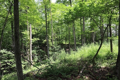 0 Anthony Rd, Fort Edward, NY 12828 - photo 5