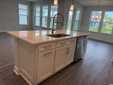 Kitchen with stainless steel dishwasher, a sink, a chandelier, dark wood-style flooring, and wainscoting