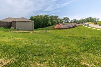 726 S Peach Brook, Nixa, MO 65714 - photo 4