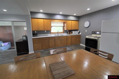1016 S Franklin St, New Ulm, MN 56073 - photo 4