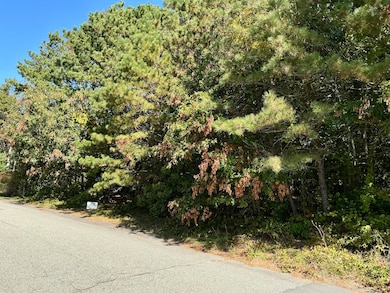 45 Fox Hill Rd, Mashpee, MA 2649 - photo 3