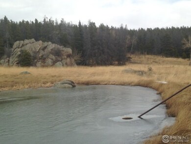 2105 Old School House Rd, Bellvue, CO 80512 - photo 4