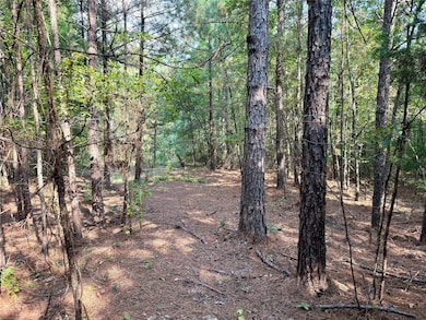 0 Best Rd, Simsboro, LA 71275 - photo 2