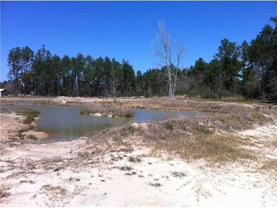 View. Pond on backside of property