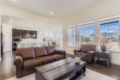 2347 Tyrrhenian Cir, Longmont, CO 80504 - photo 7