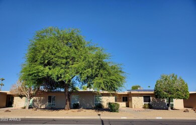 11016 W Thunderbird Blvd, Sun City, AZ 85351 - photo 3