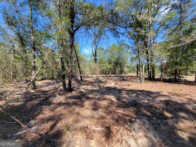 22 Meadowlark Ln, Twin City, GA 30471 - photo 6