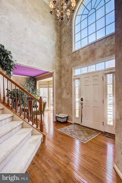 828 Crystal Palace Ct, Owings Mills, MD 21117 - photo 7