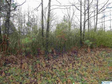 0 Randles Rd unit 1113269, Grant, AL 35747 - photo 6