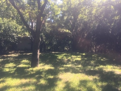 215 Mistletoe St, Fredericksburg, TX 78624 - photo 3