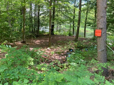 water access