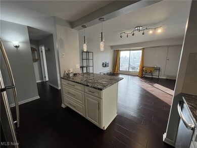 Kitchen with decorative light fixtures, dark hardwood / wood-style flooring, dishwasher, dark stone counters, and white cabinets
