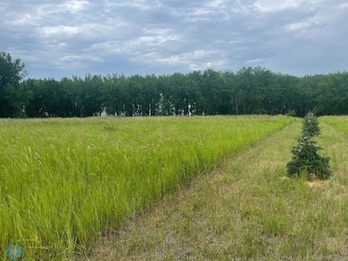 lot 4 trees.jpg