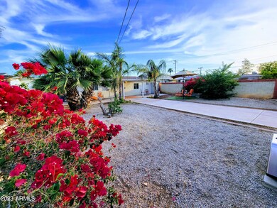 Back Yard 2