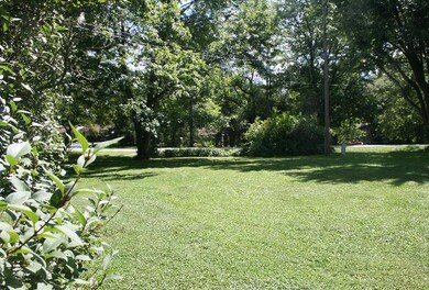 Front yard