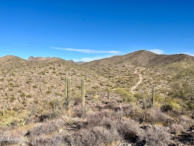 11XX S Hardt Tank S Lot 4 Rd, Queen Valley, AZ 85118 - photo 3