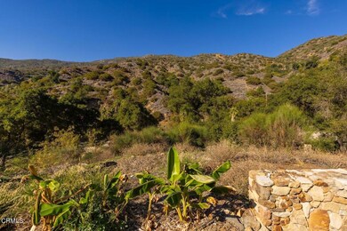 16840 Maricopa Hwy, Ojai, CA 93023 - photo 6