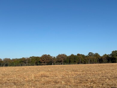 000 Fm 1653, Ben Wheeler, TX 75754 - photo 3